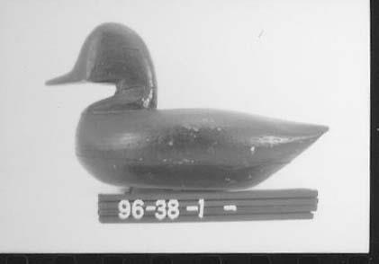 CBMM catalog image