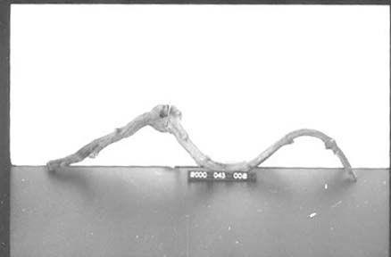 CBMM catalog image