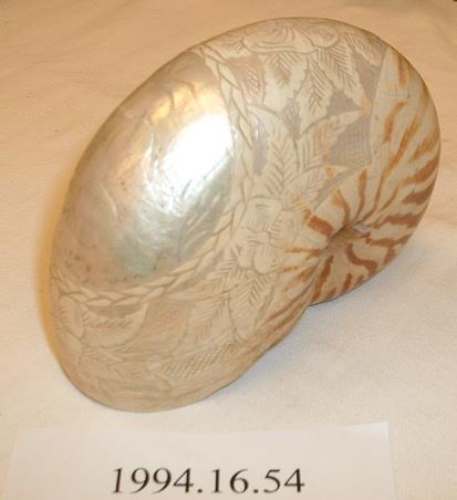 CBMM catalog image