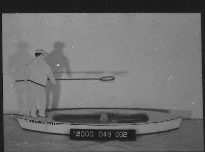 CBMM catalog image