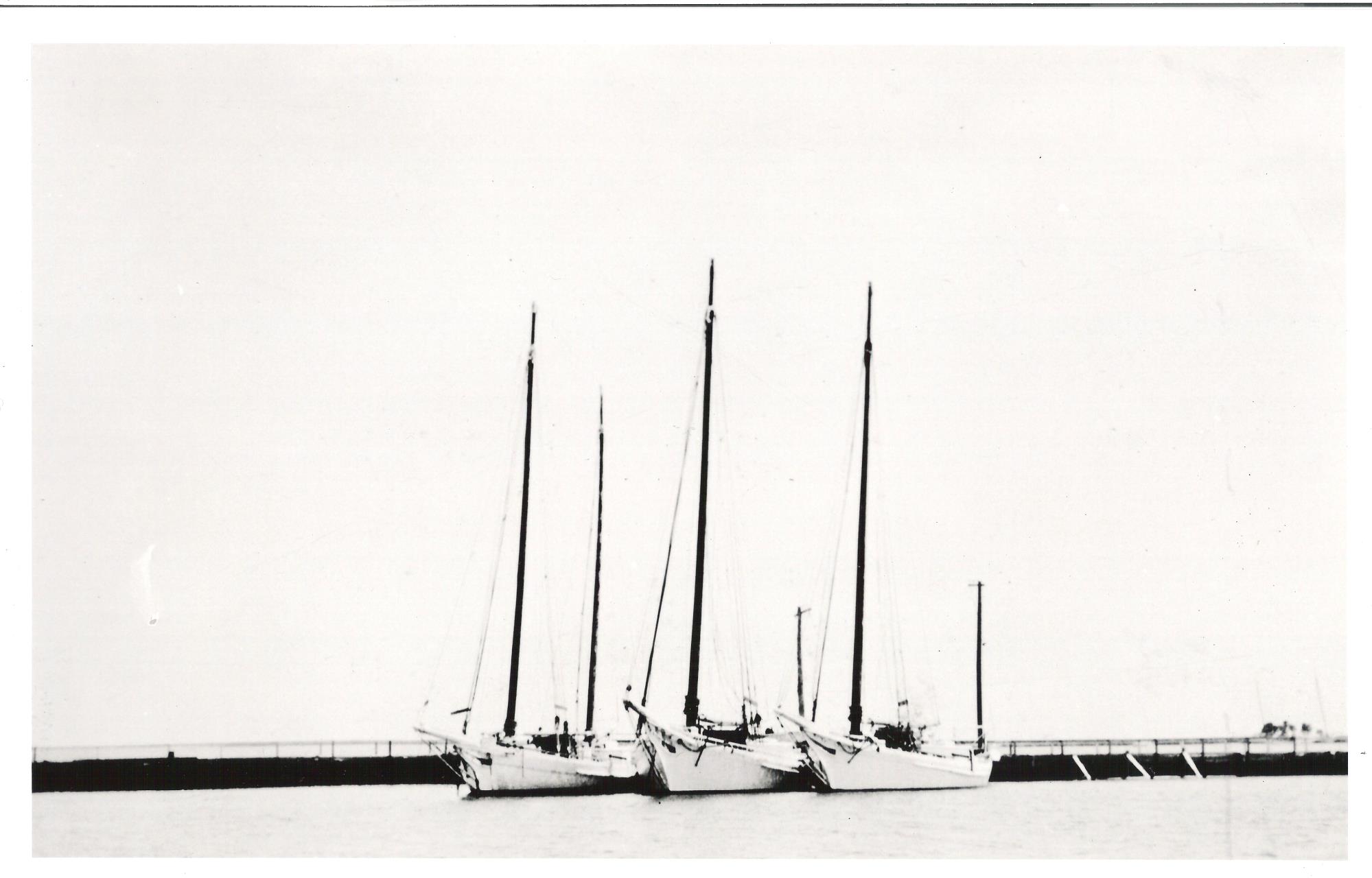 CBMM catalog image