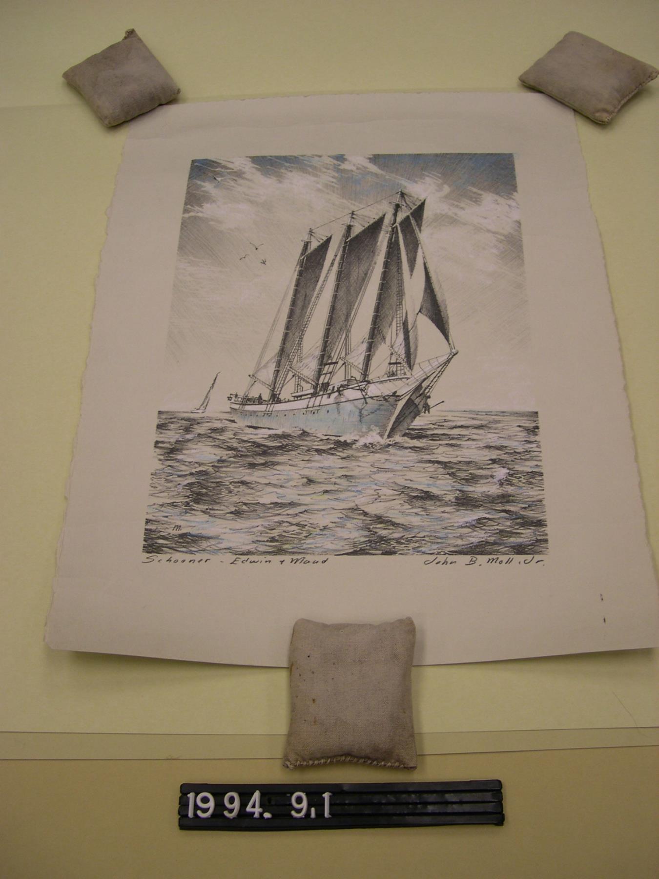 CBMM catalog image