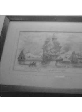 CBMM catalog image