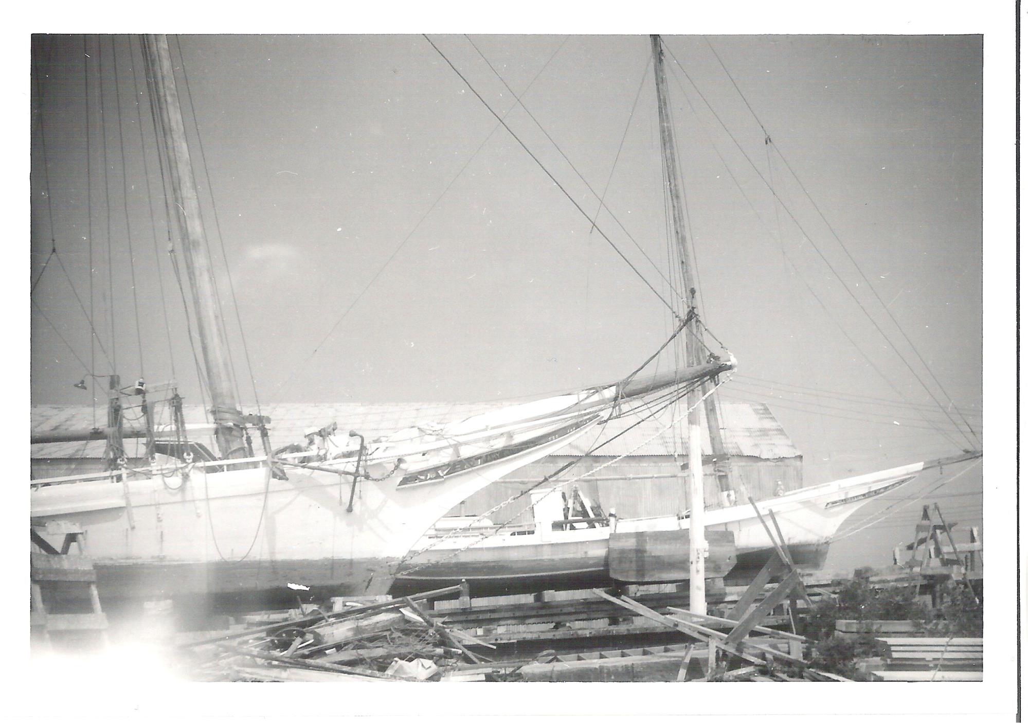 CBMM catalog image