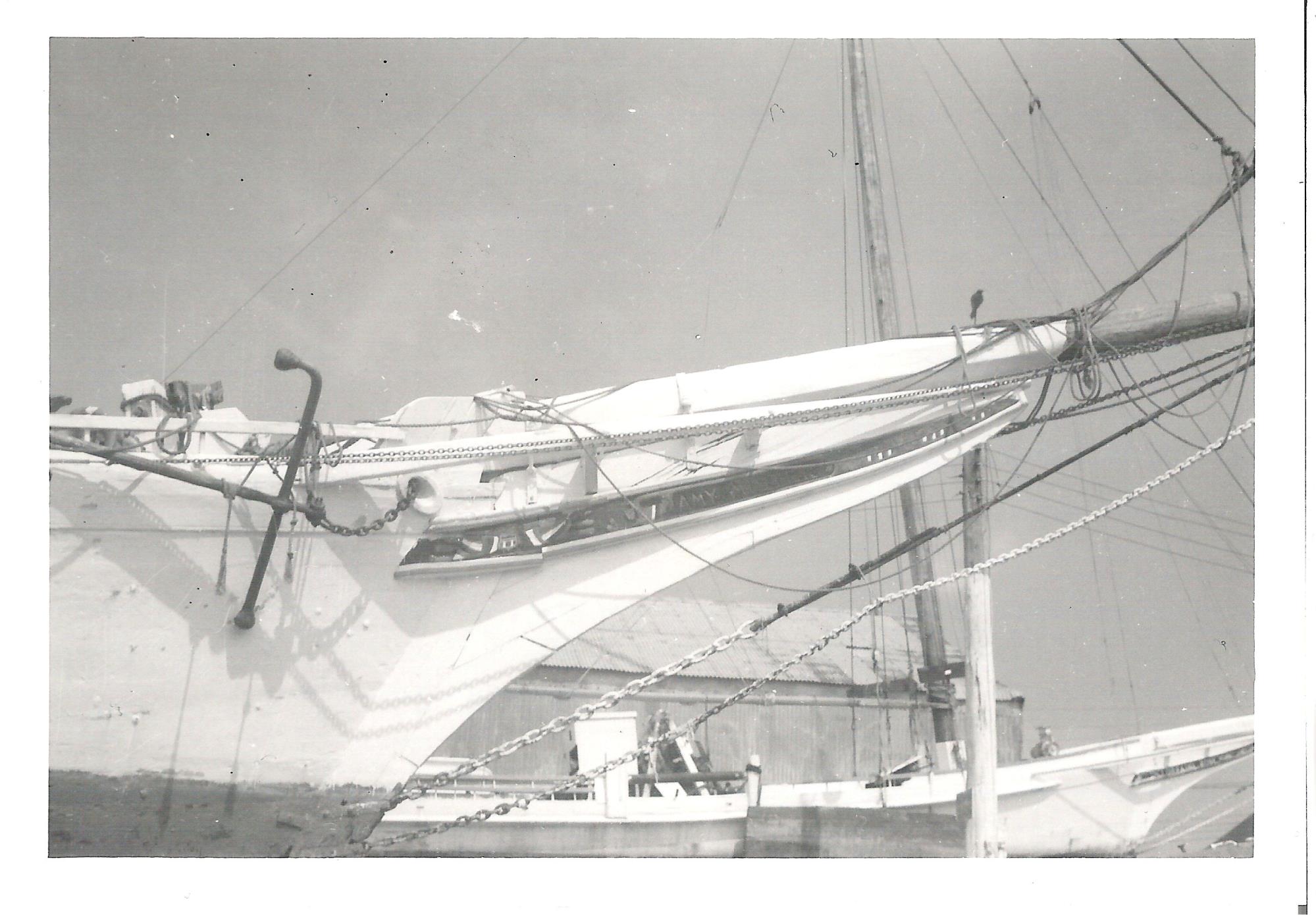CBMM catalog image
