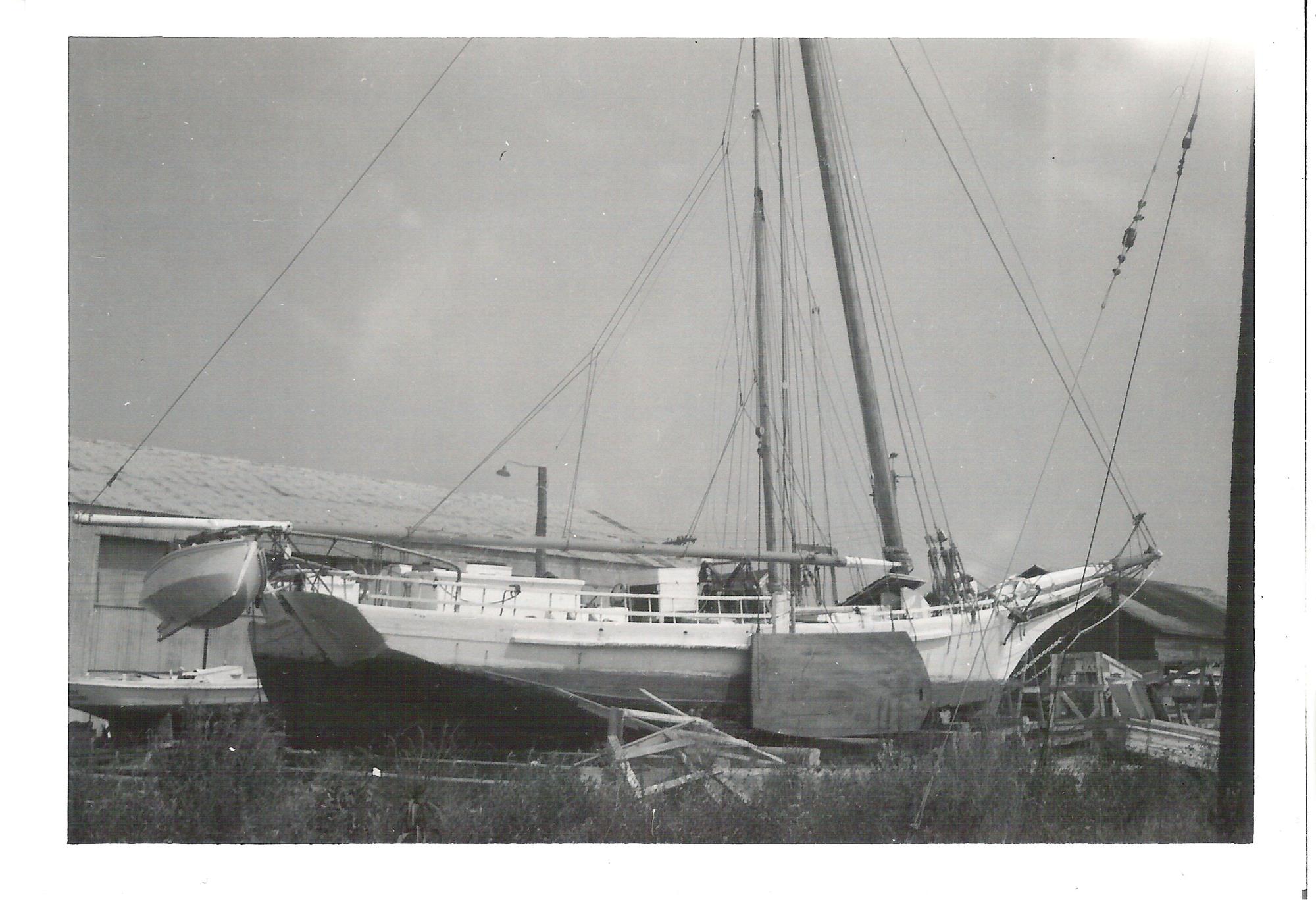 CBMM catalog image