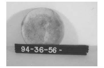 CBMM catalog image
