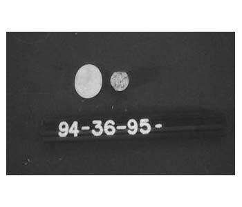 CBMM catalog image