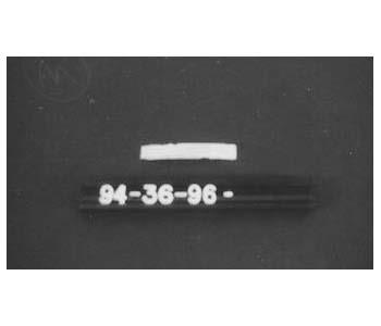 CBMM catalog image