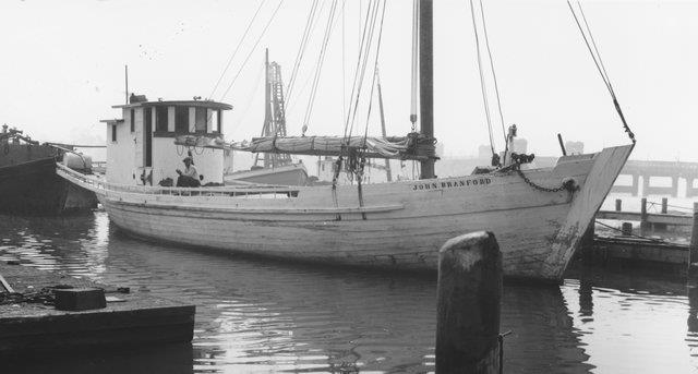 CBMM catalog image