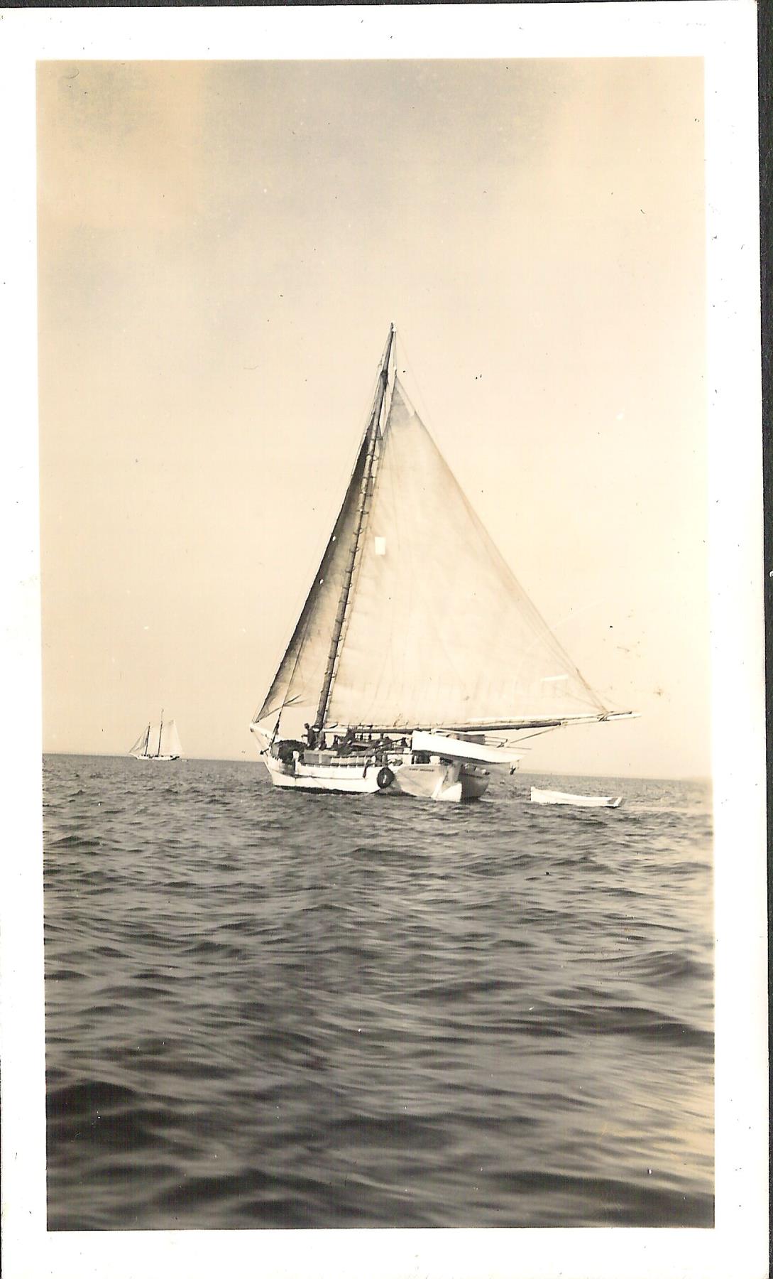 CBMM catalog image