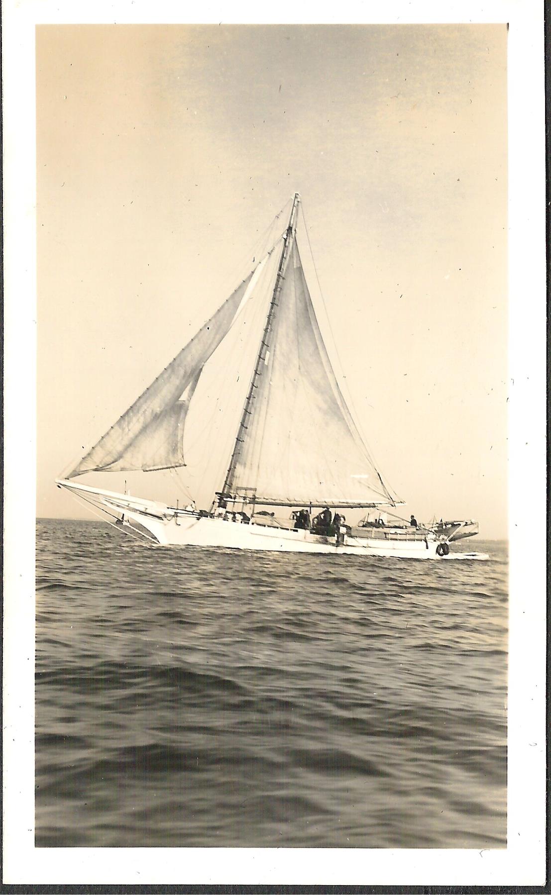 CBMM catalog image
