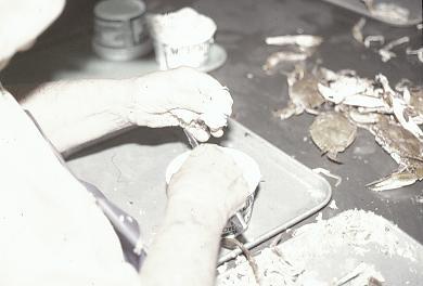CBMM catalog image
