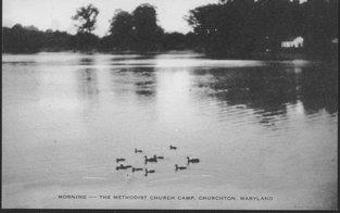 CBMM catalog image
