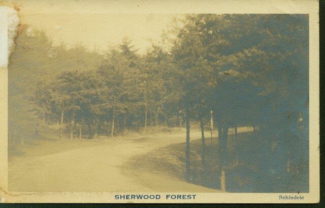 CBMM catalog image