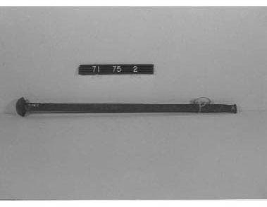 CBMM catalog image