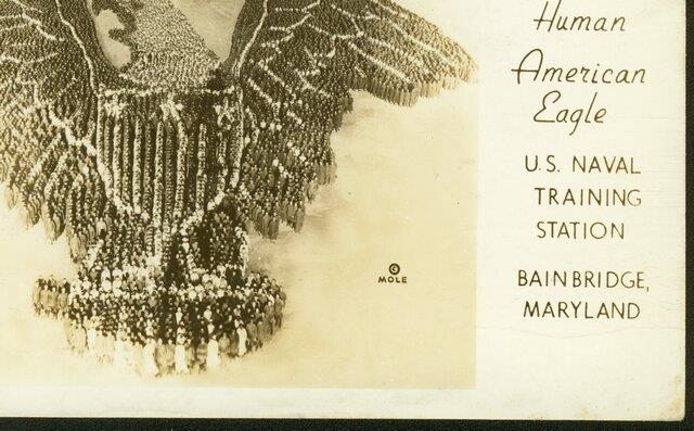 CBMM catalog image