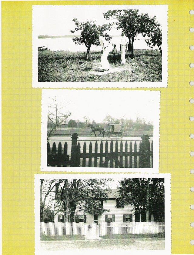 CBMM catalog image