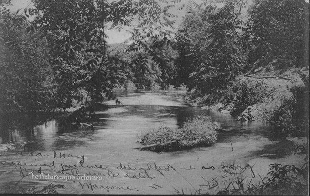CBMM catalog image