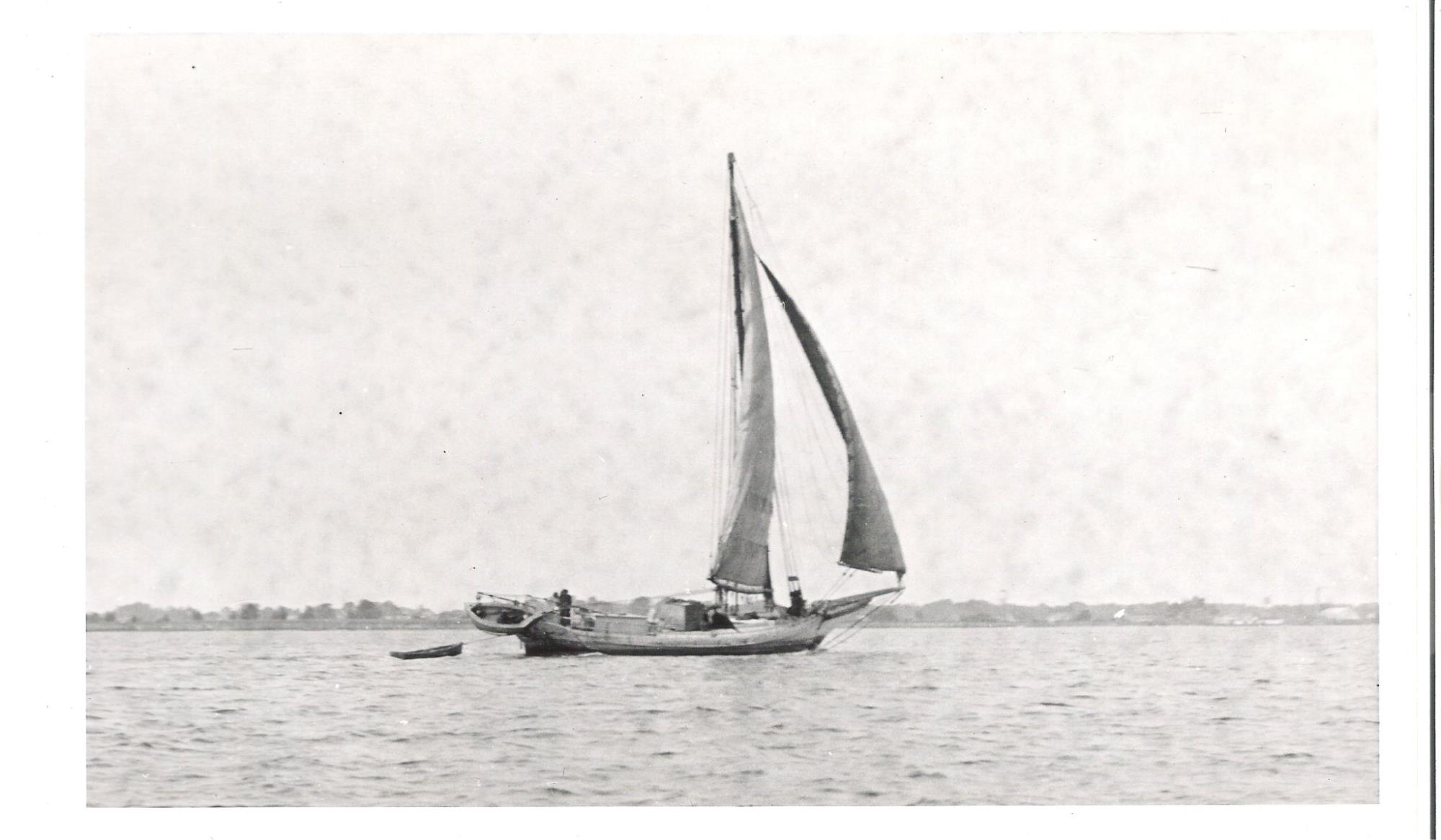 CBMM catalog image