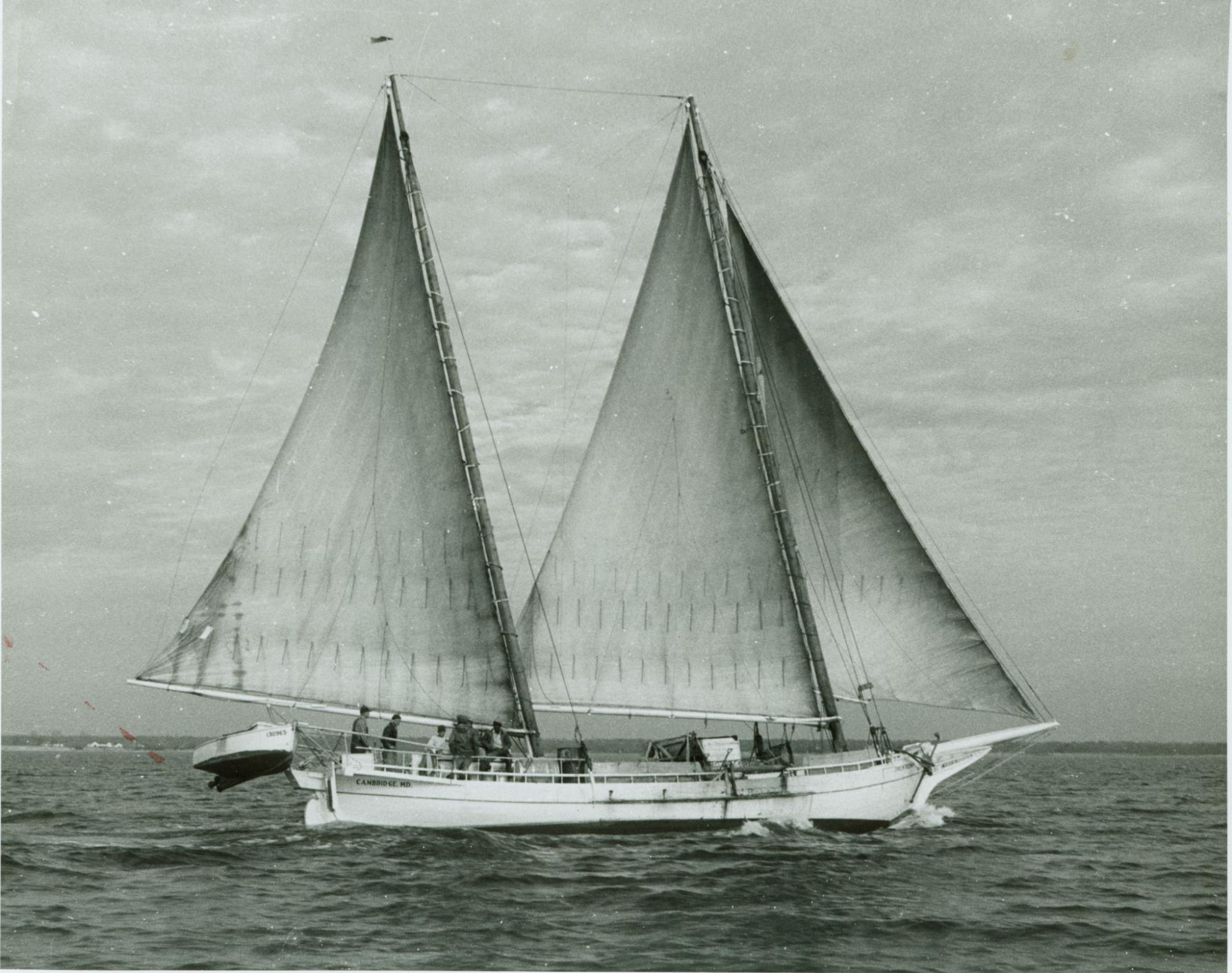CBMM catalog image