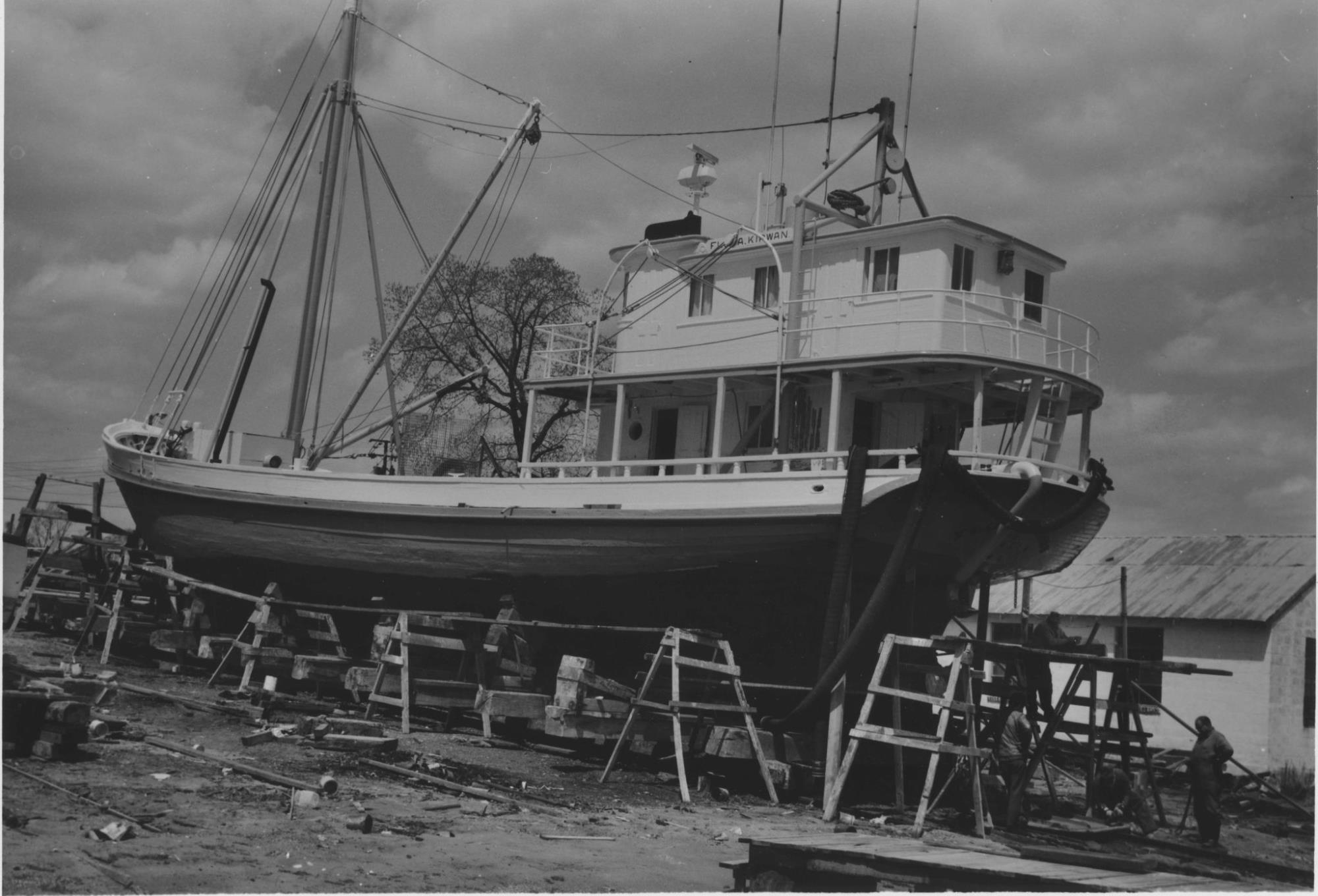 CBMM catalog image