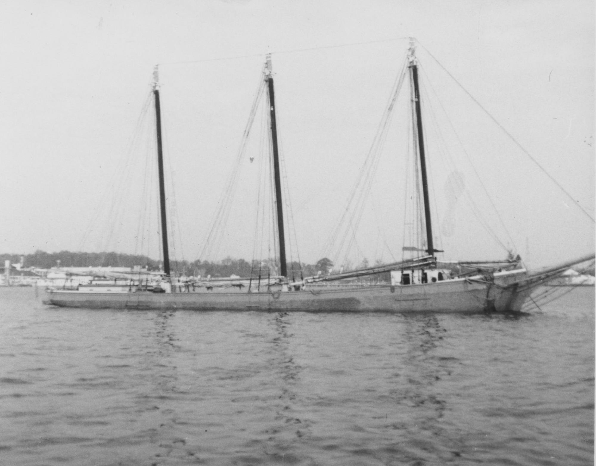 CBMM catalog image
