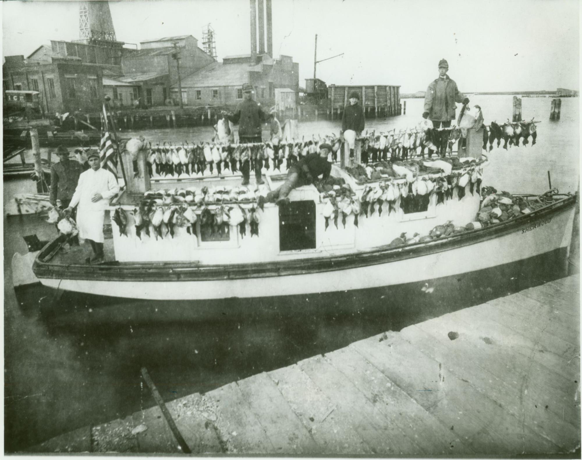 CBMM catalog image