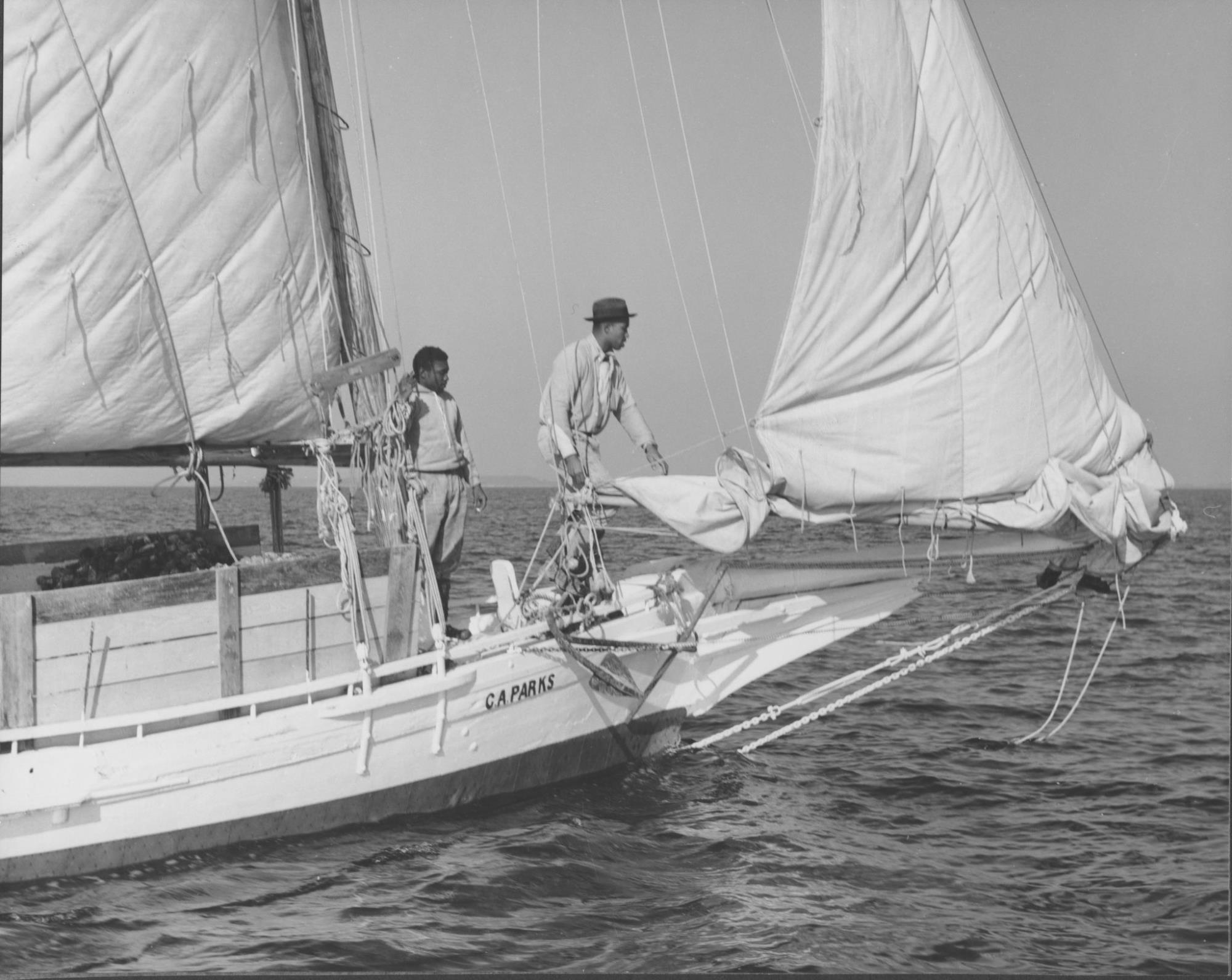 CBMM catalog image
