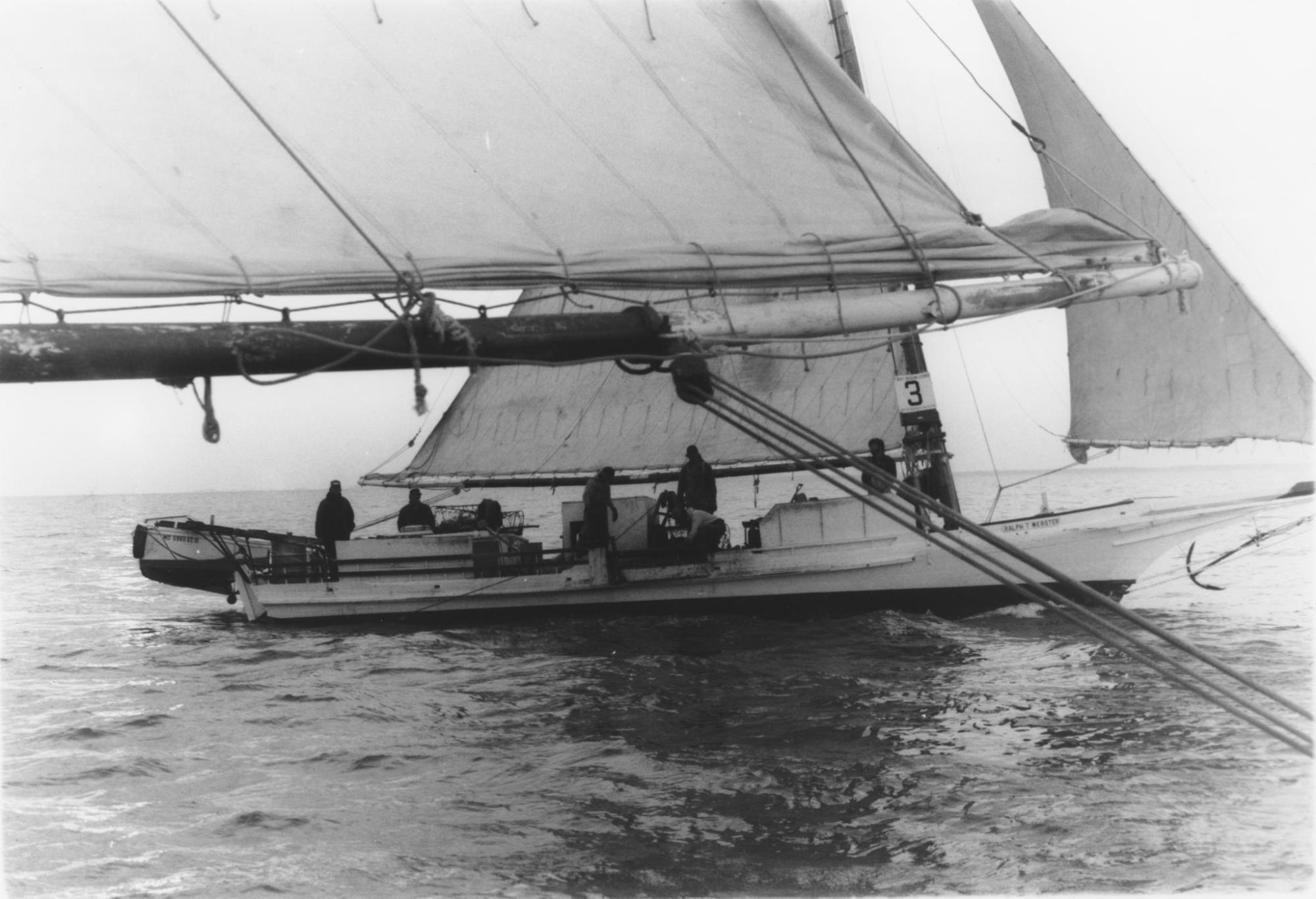 CBMM catalog image