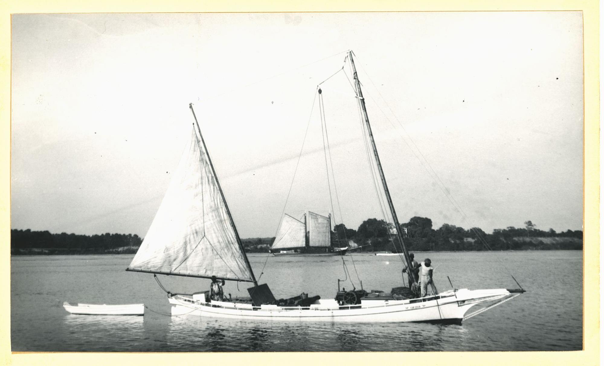 CBMM catalog image