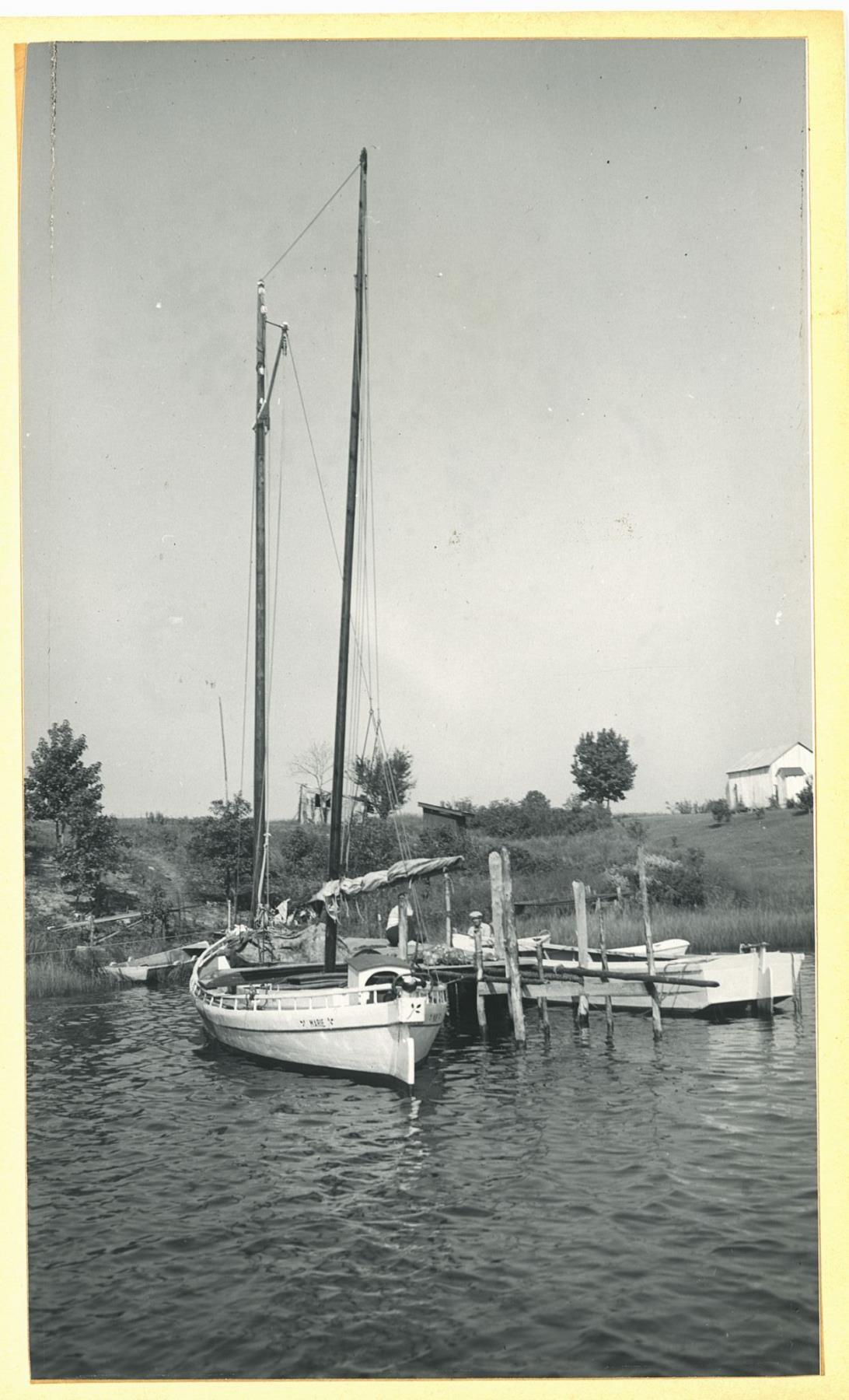CBMM catalog image