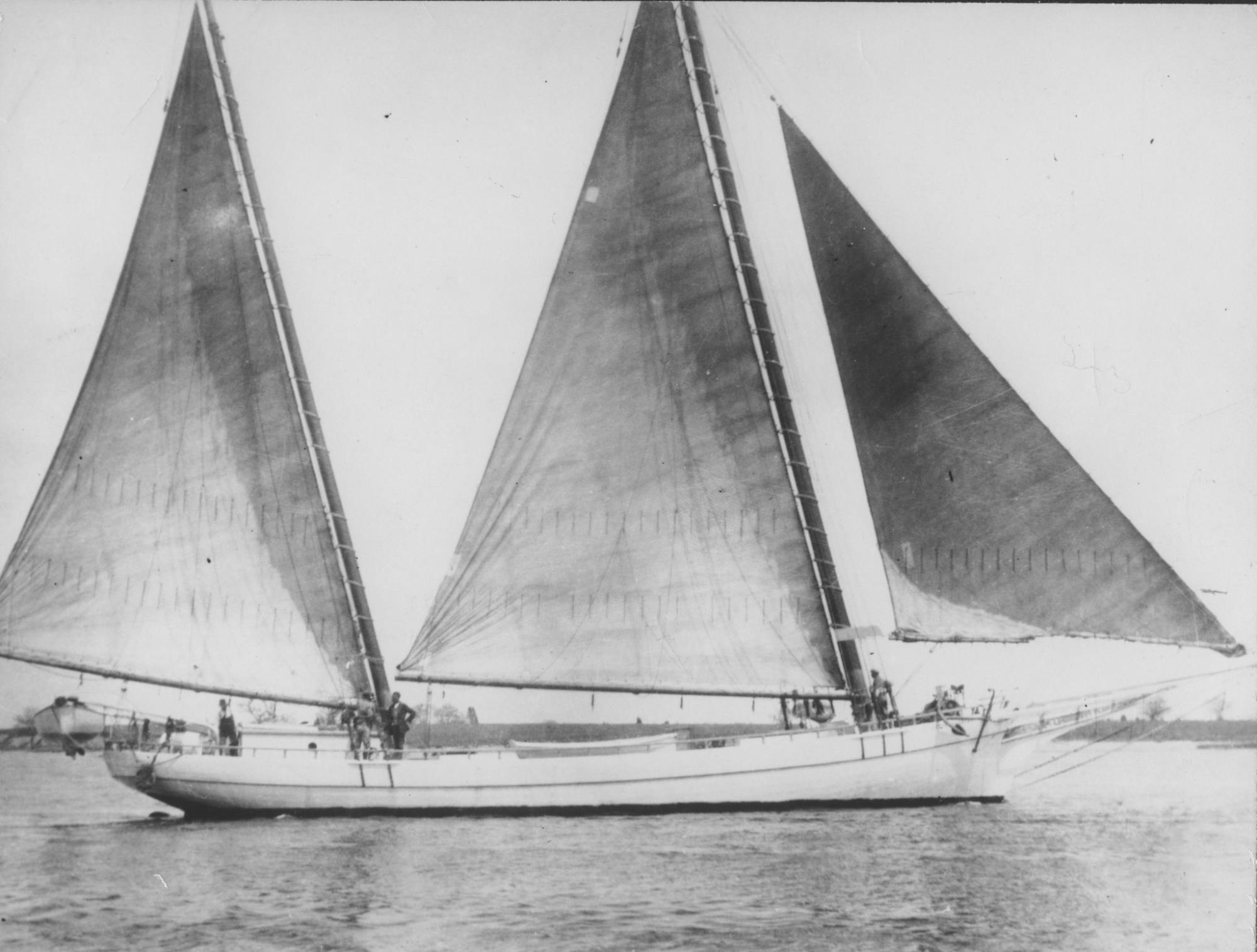 CBMM catalog image