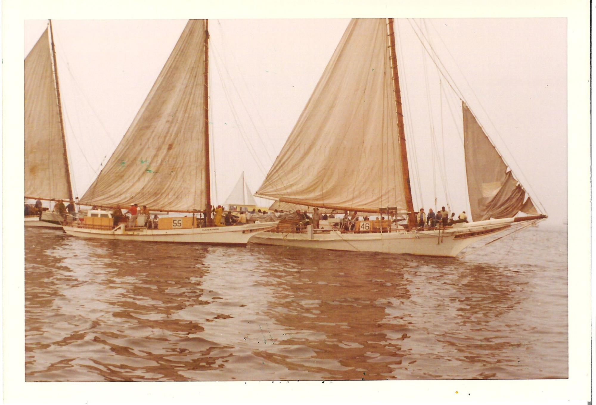 CBMM catalog image