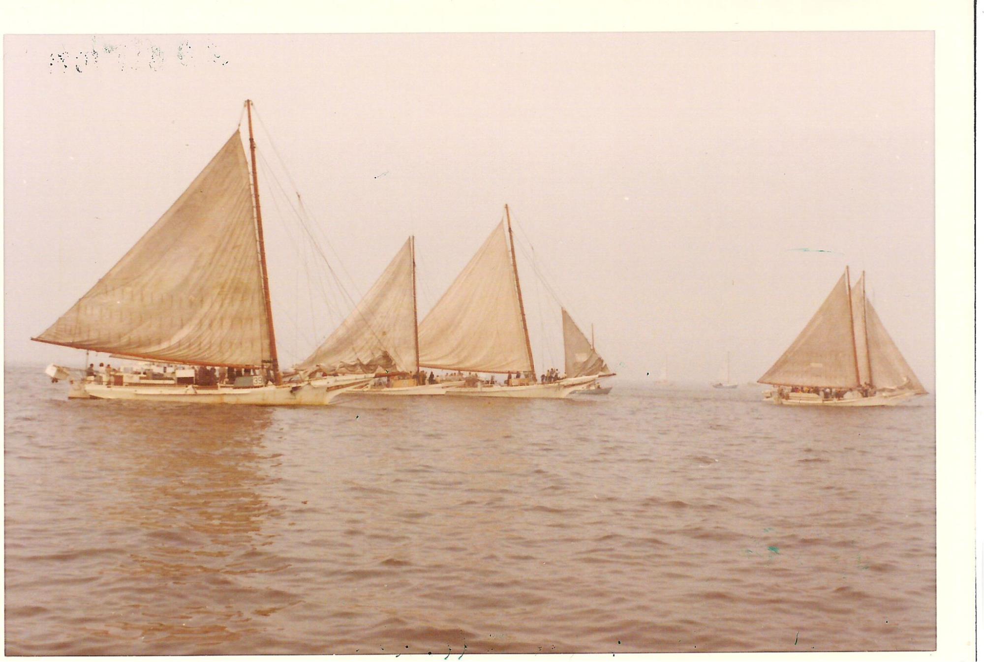 CBMM catalog image