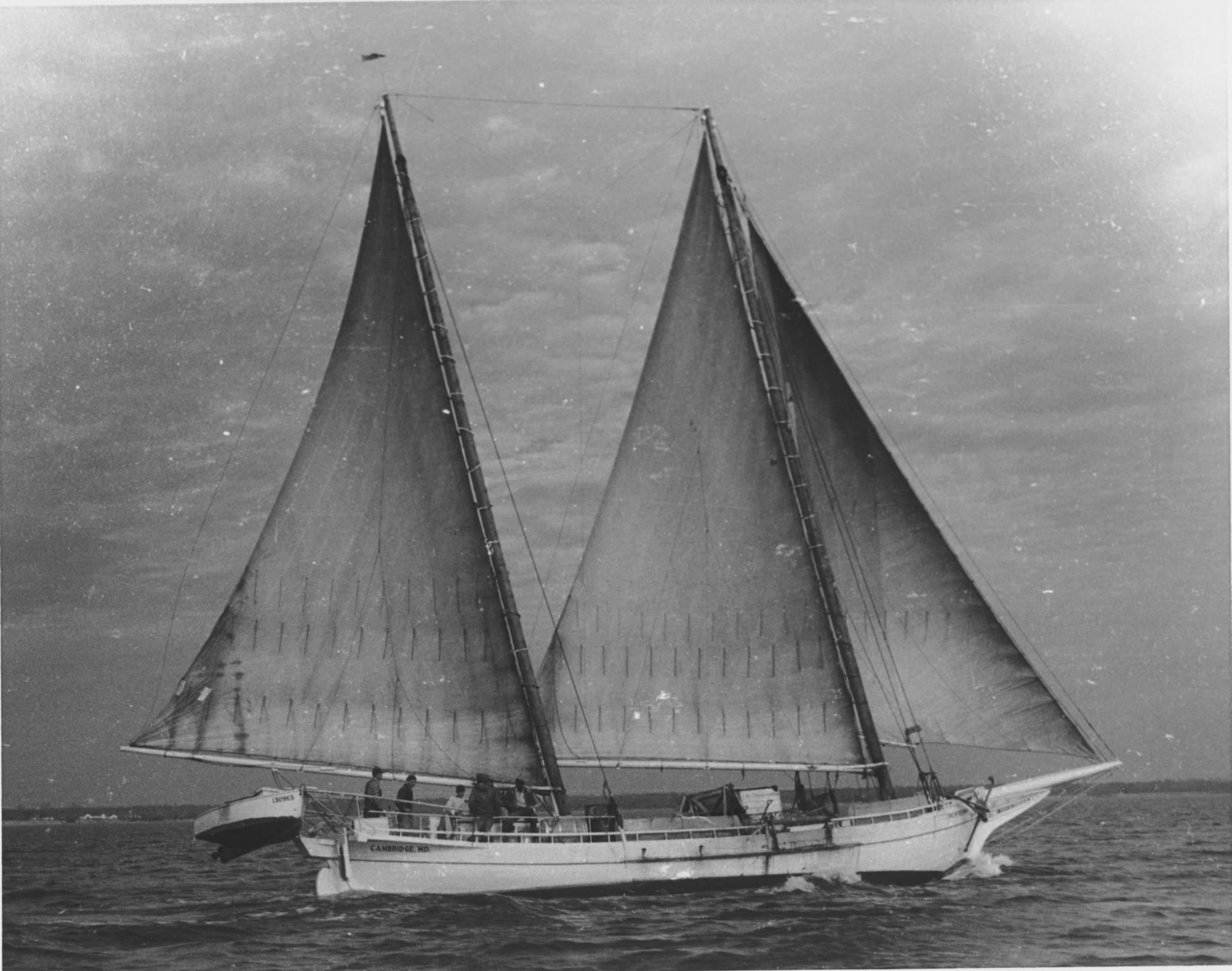 CBMM catalog image