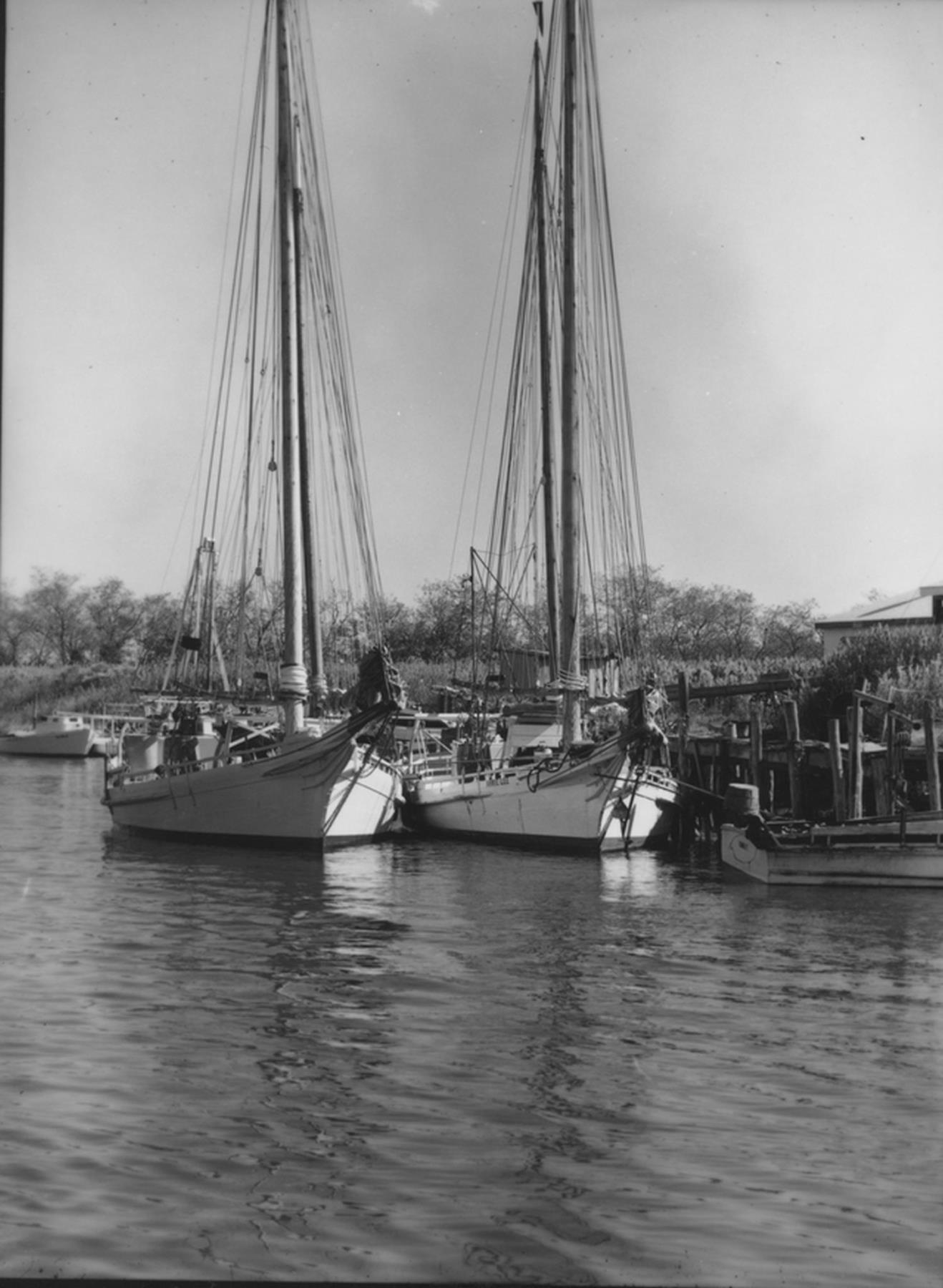 CBMM catalog image