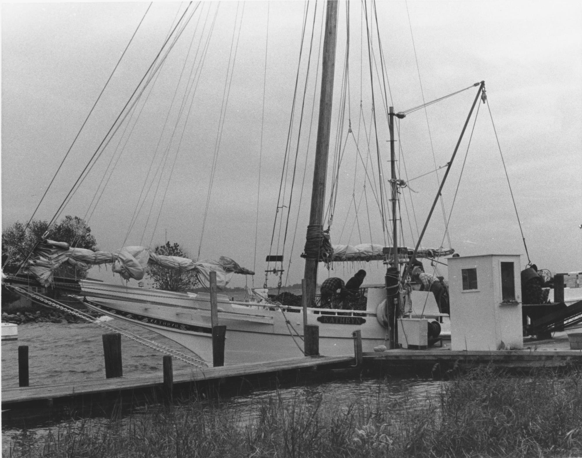 CBMM catalog image