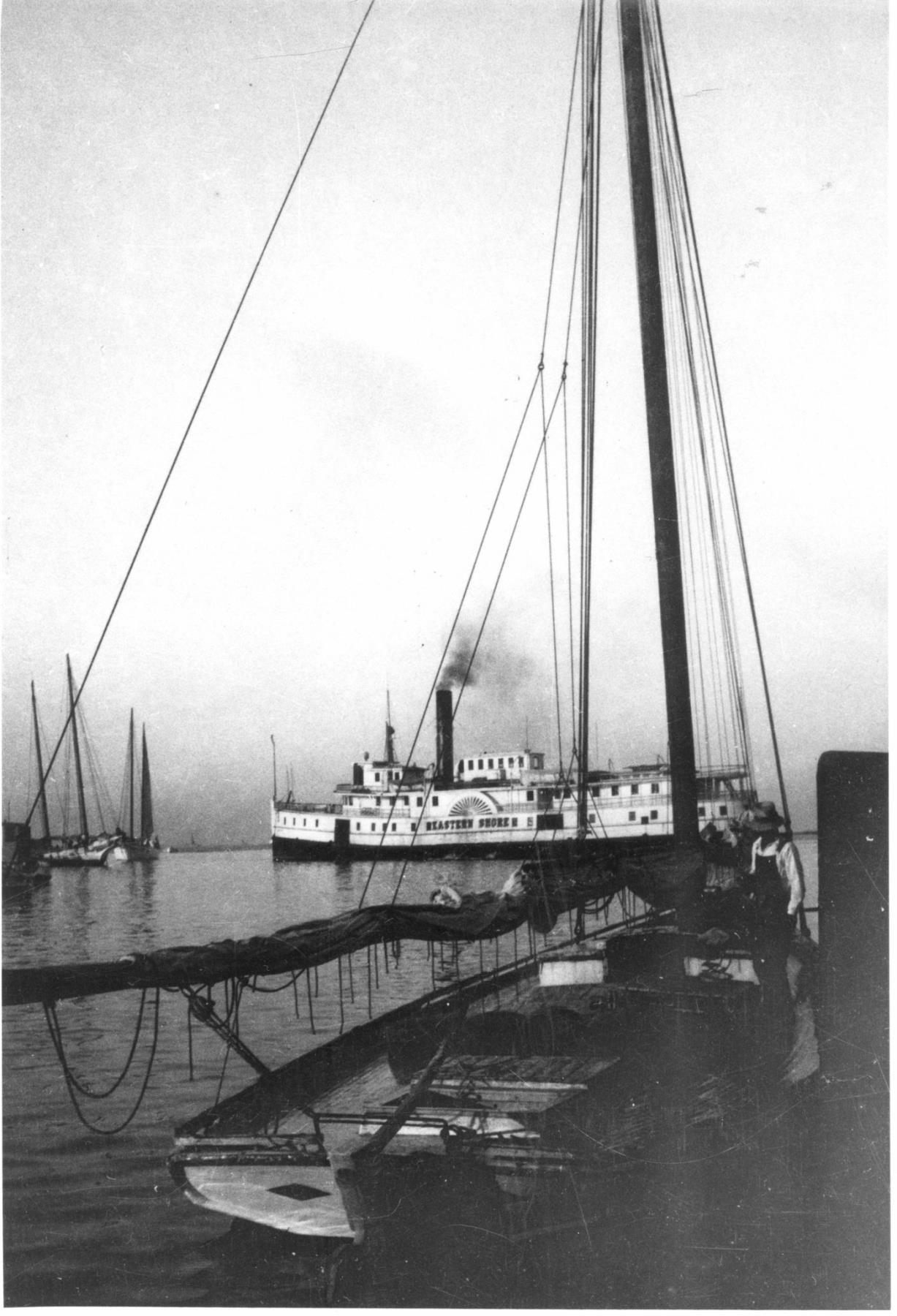 CBMM catalog image