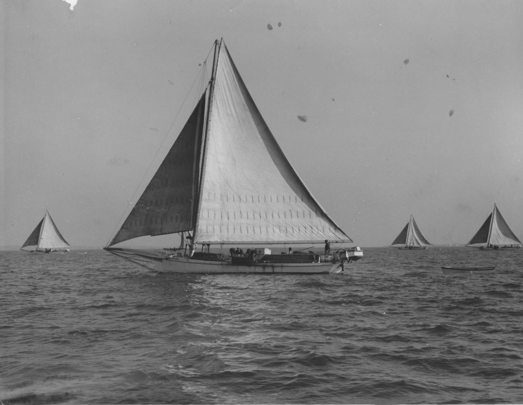CBMM catalog image