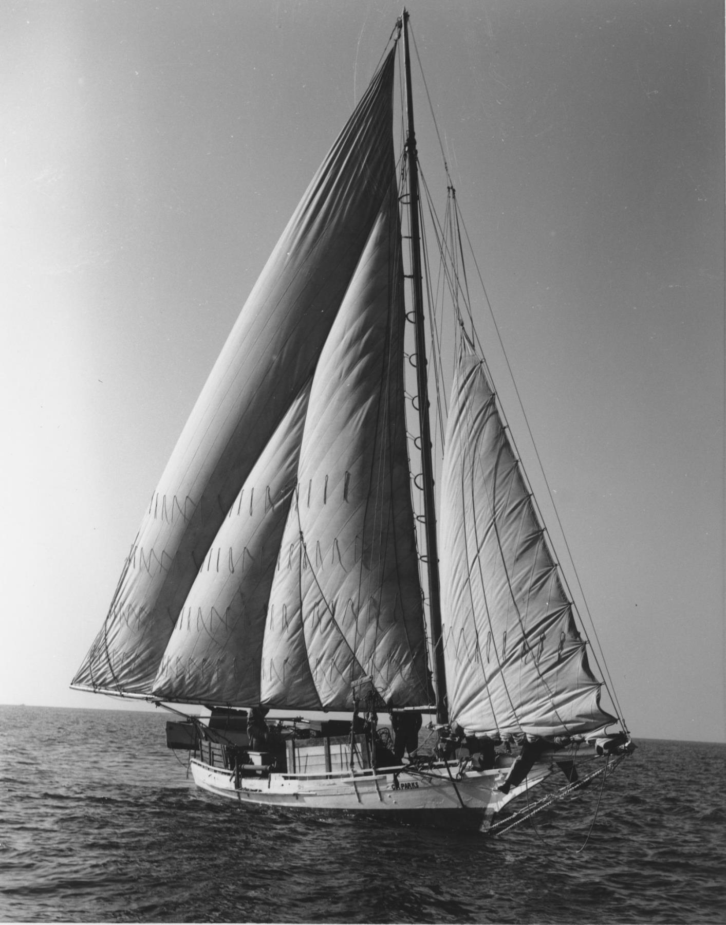 CBMM catalog image