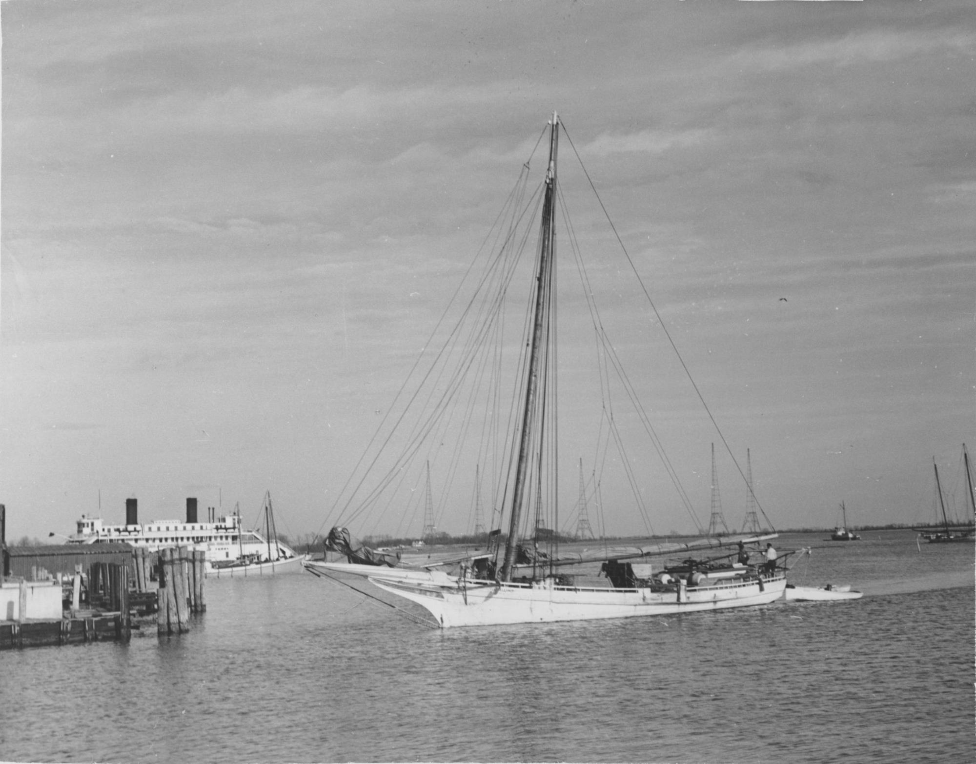 CBMM catalog image