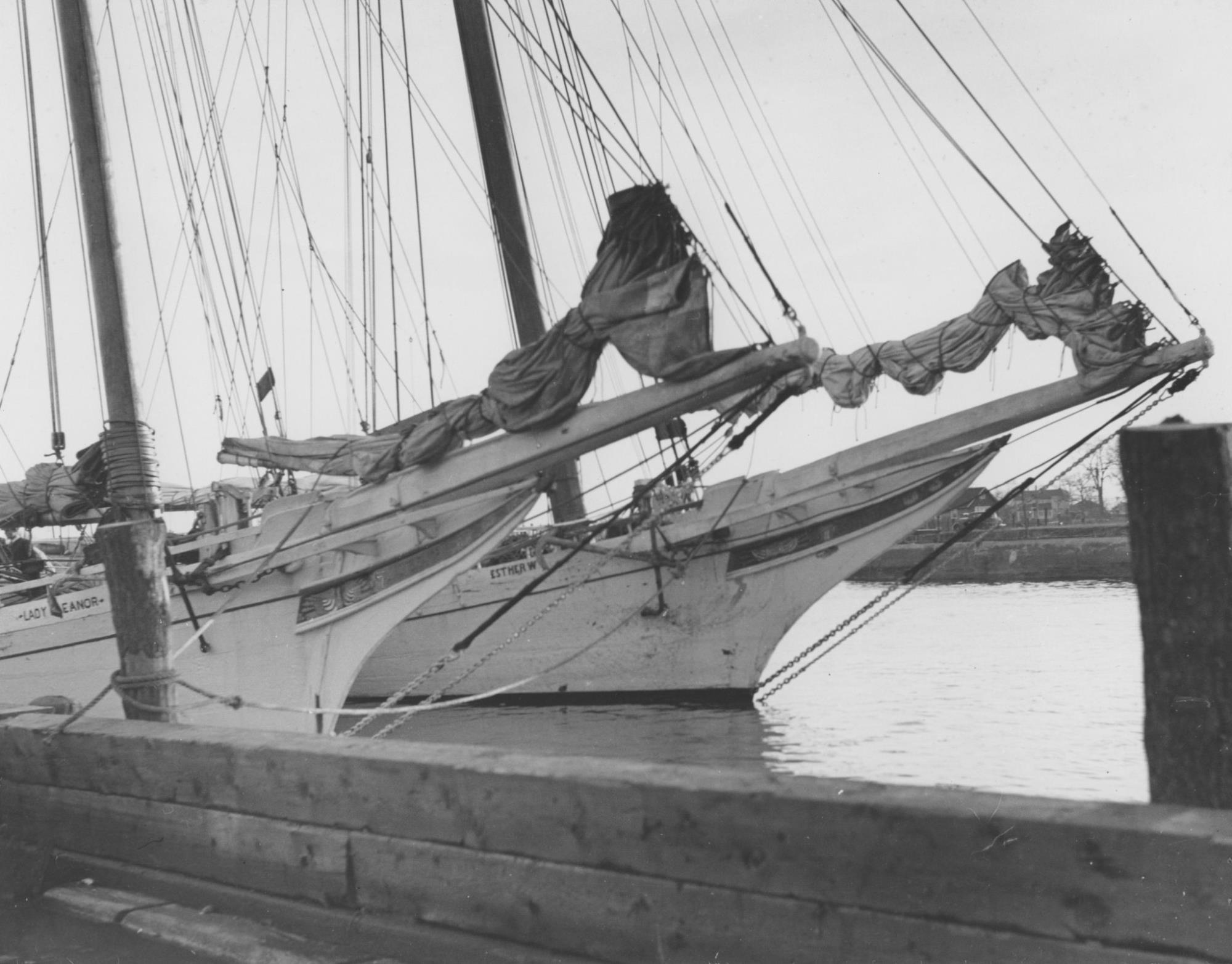 CBMM catalog image