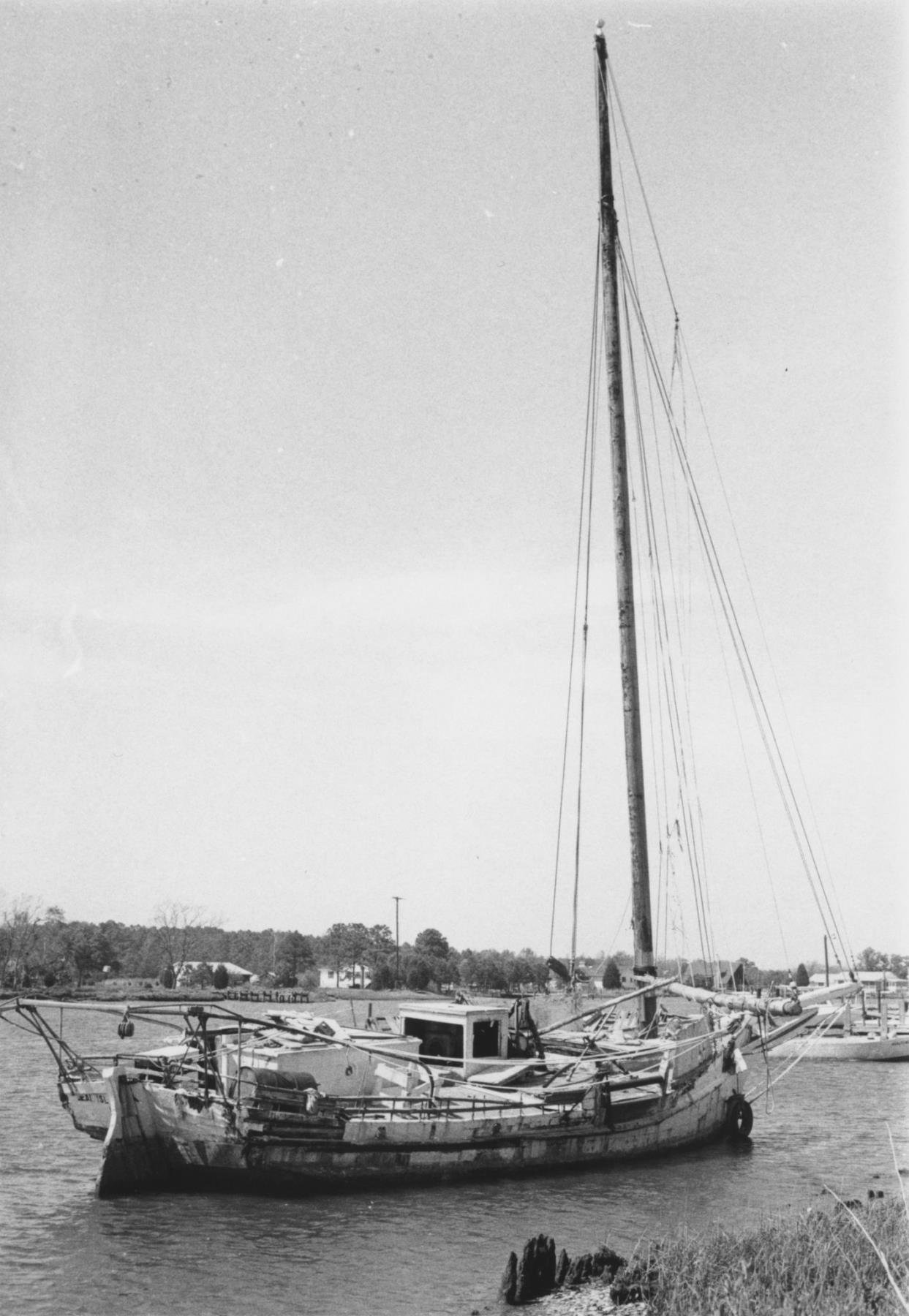 CBMM catalog image