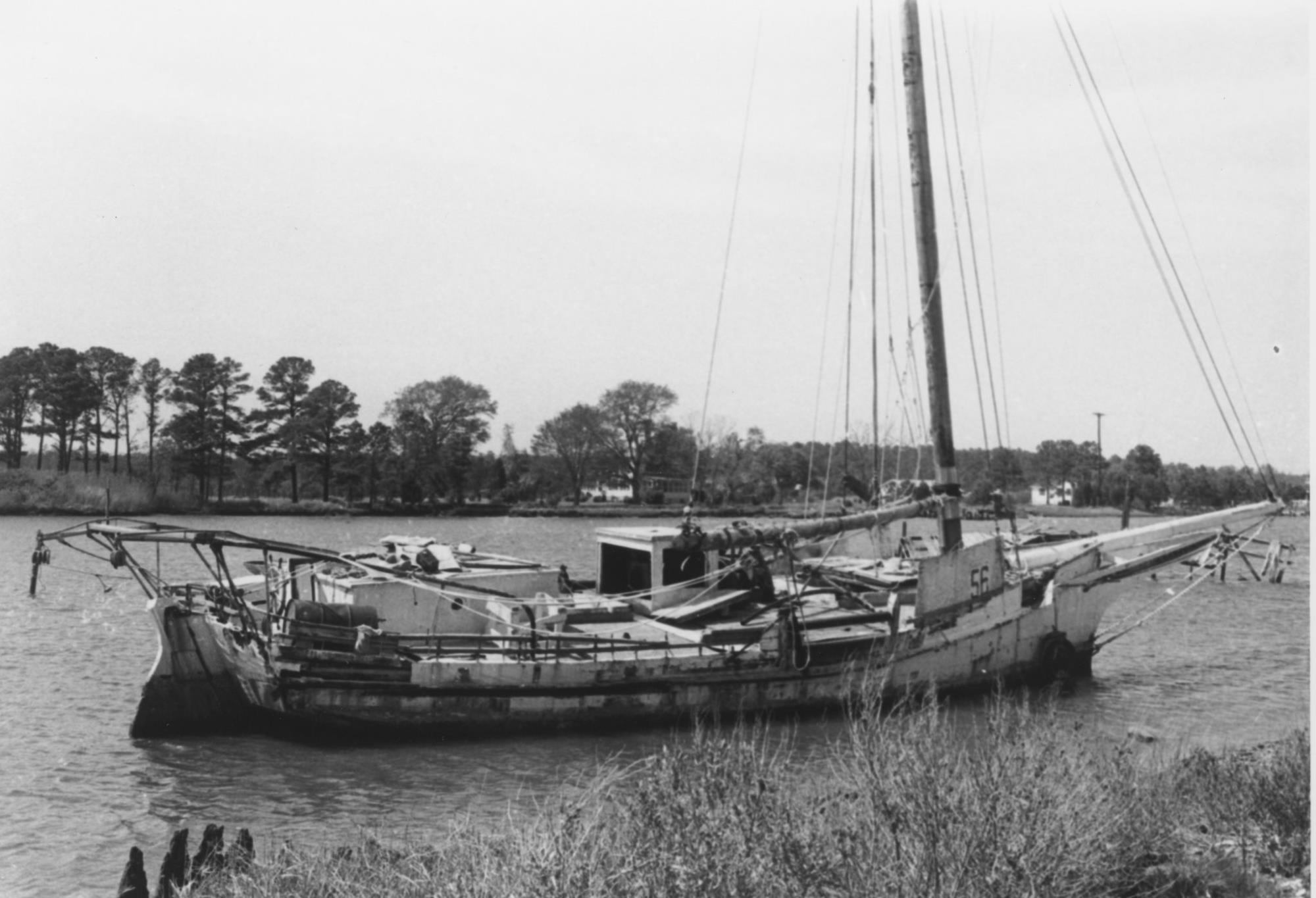CBMM catalog image