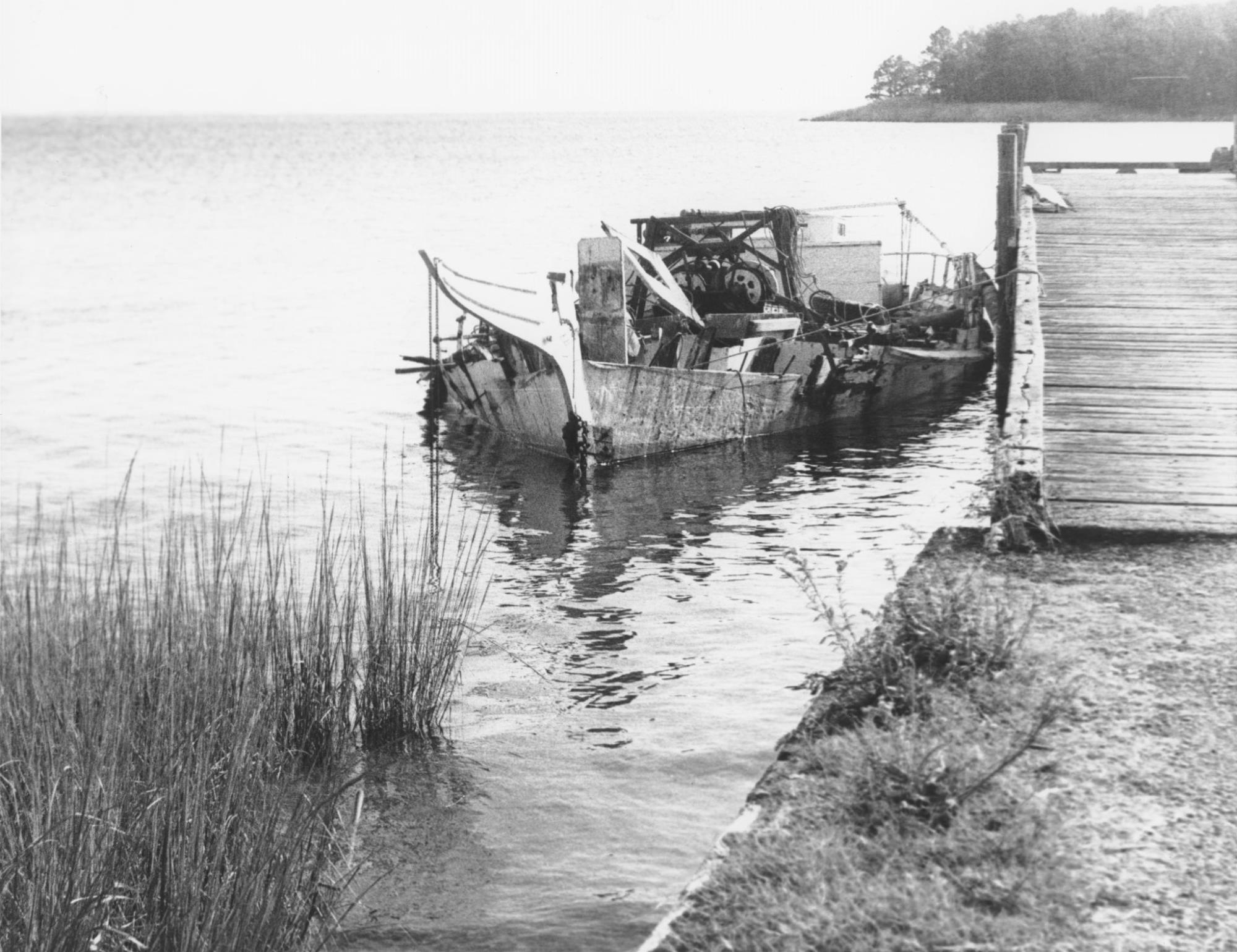 CBMM catalog image