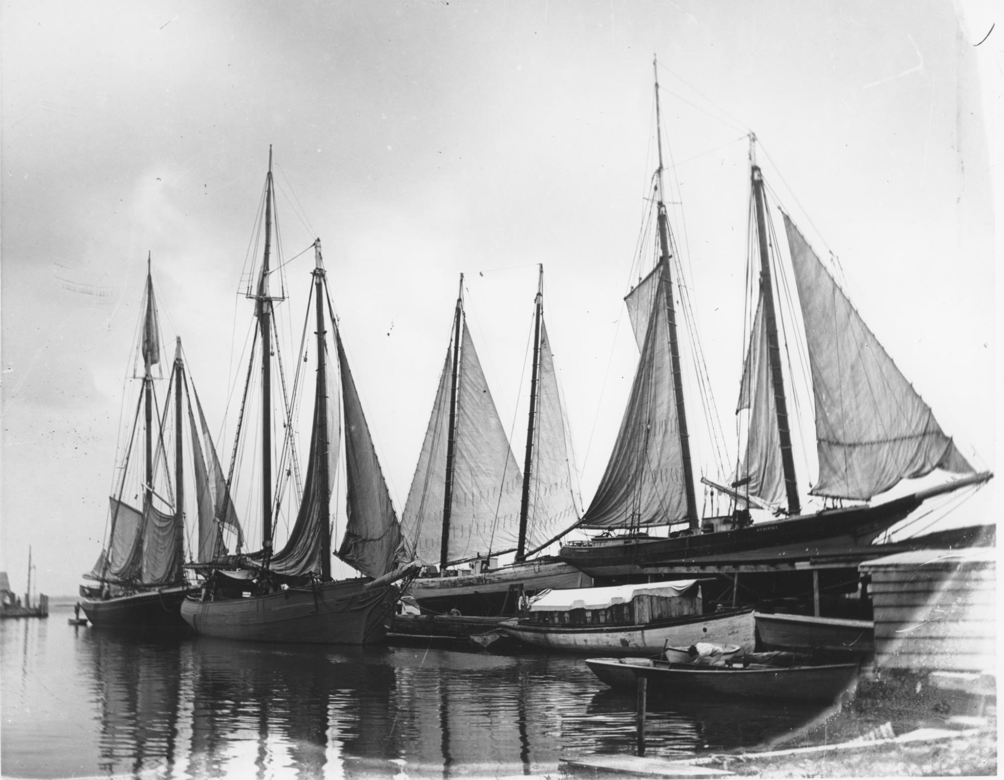 CBMM catalog image