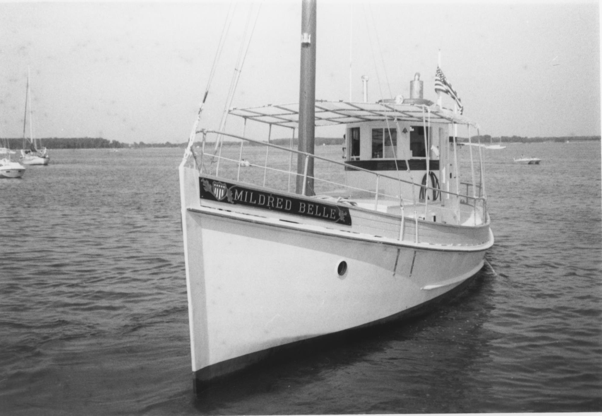 CBMM catalog image