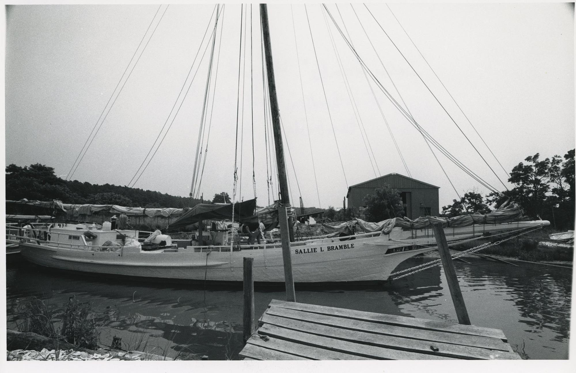 CBMM catalog image