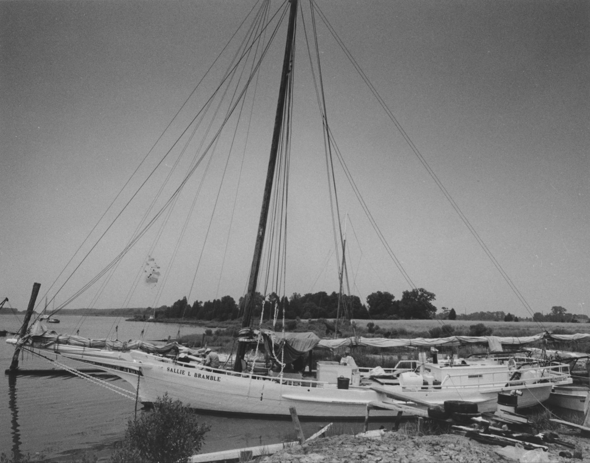 CBMM catalog image